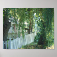 À travers l'affiche du saule pleuvoir