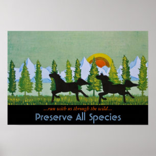 Poster À travers le Far