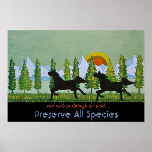 Poster À travers le Far (Devant)