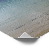 POSTER - À travers l'eau (Coin)