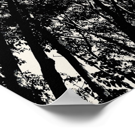 Poster À Travers Les Arbres, 2018 | Images SVP (Coin)