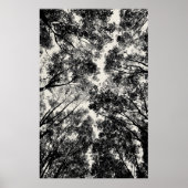 Poster À Travers Les Arbres, 2018 | Images SVP (Devant)