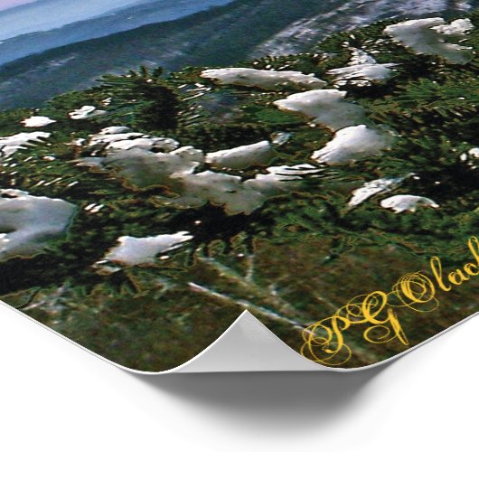 Poster À travers les Bouges d'un pin (Coin)