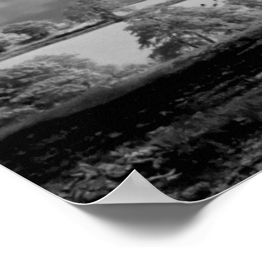 Poster A Tree blows in the Wind (Coin)