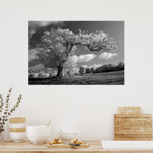 Poster A Tree blows in the Wind (Cuisine)