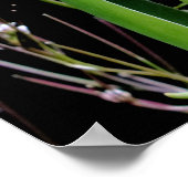 Poster à tulipe du printemps (Coin)