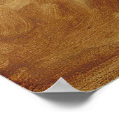 Poster A Young Girl Reading, The Reader de J. Fragonard (Coin)