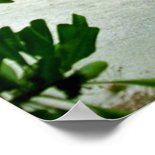 Poster Aaah... retraite, design populaire, (Coin)