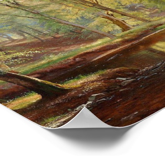 Poster Aagaard Forest Stream Landscape (Coin)