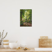 Poster Aagaard Forest Stream Landscape (Cuisine)