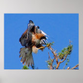 Poster aan boord (Voorkant)