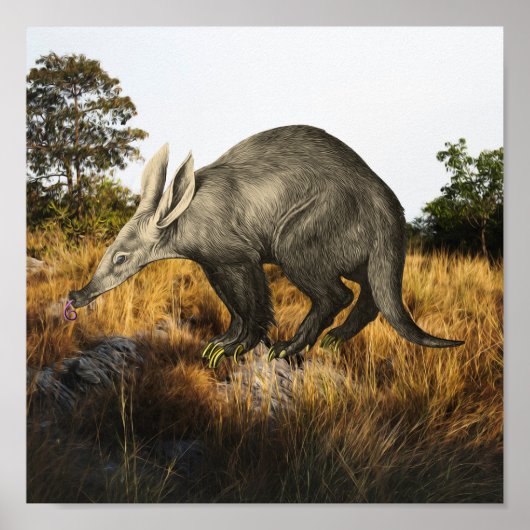 Poster Aardvark (Devant)
