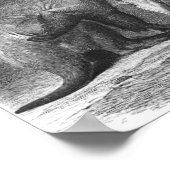 Poster Aardvark - Orycteropus après Portfolio (Coin)