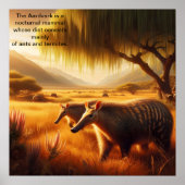 Poster Aardvark Serene Wildlife Harmony (Devant)