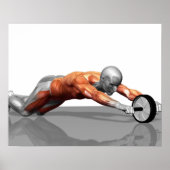 Poster Ab Wheel (Devant)