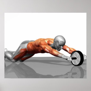 Poster Ab Wheel