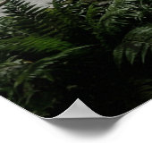 Poster Abandoned Theater Nature Reclaimed (Coin)