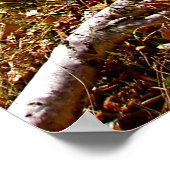 Poster Abandonné (Coin)