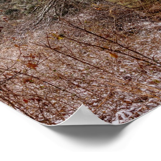 Poster Abandonné (Coin)