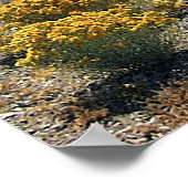 Poster Abandonné (Coin)