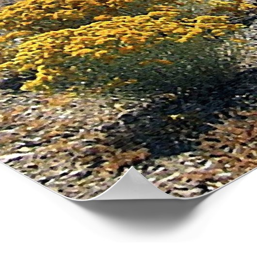 Poster Abandonné (Coin)