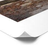 Poster Abandonné (Coin)