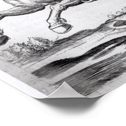 Poster Abbas, roi de Perse (Coin)