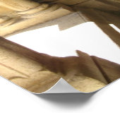 Poster Abbaye de Fontaine (Coin)