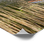 Poster Abbaye de Kylemore, Irlande. Abbaye de Kylemore es (Coin)