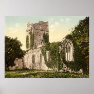 Poster Abbaye de Muckross, Killarney, comté de Kerry