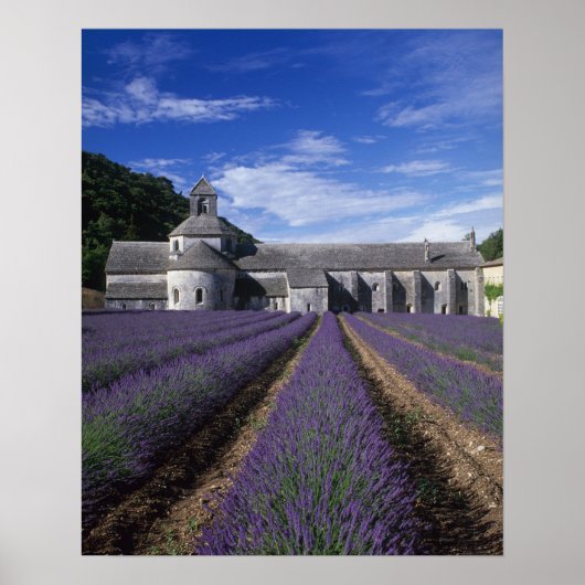 Poster Abbaye de Senanque, Gordes, Vaucluse, Provence, (Devant)