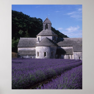 Poster Abbaye de Senanque, Gordes, Vaucluse, Provence, 2