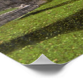 Poster Abbaye de Tintern (vers 1900) (Coin)