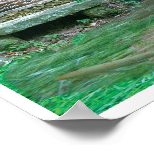 Poster Abbos Alley Collage Sewanee, TN OlioStudios.com (Coin)