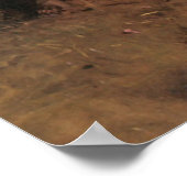 Poster Abbott Handerson Thayer La Vierge (Coin)