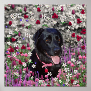Poster Abby en Fleurs - Chien de laboratoire noir