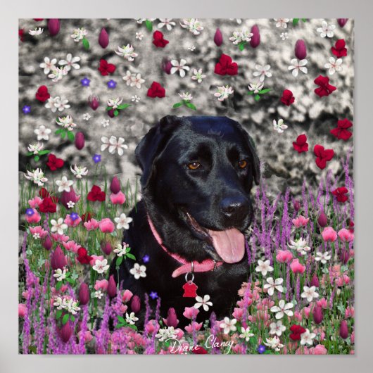 Poster Abby en Fleurs - Chien de laboratoire noir (Devant)