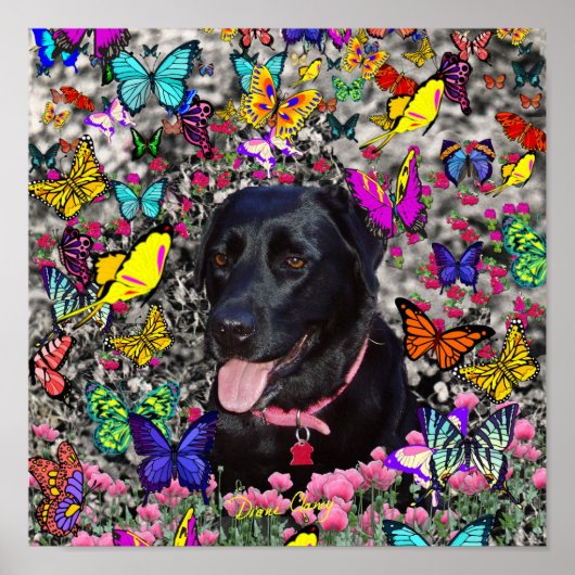 Poster Abby in Butterflies - Black Lab Dog (Devant)