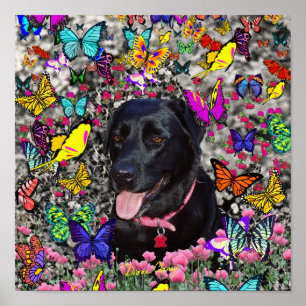 Poster Abby in Butterflies - Black Lab Dog