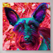 Poster Abby le Schnauzer (Devant)