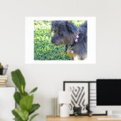 Poster Abby Mae (Bureau à domicile)