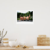 Poster ABC-5374, Garçons de l'été, Lee Vandergrift (Cuisine)