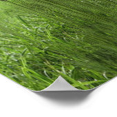 Poster ABC Capital Alphabet themes. (Coin)