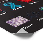 Poster ABC de la biologie (Coin)