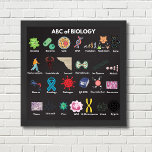 Poster ABC de la biologie<br><div class="desc">26 termes ou mots les plus importants de a à z en biologie. Pour les élèves et les enseignants.</div>