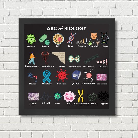 Poster ABC de la biologie