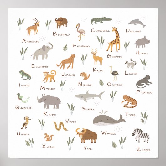 Poster ABC Learning Wild Animaux (Devant)