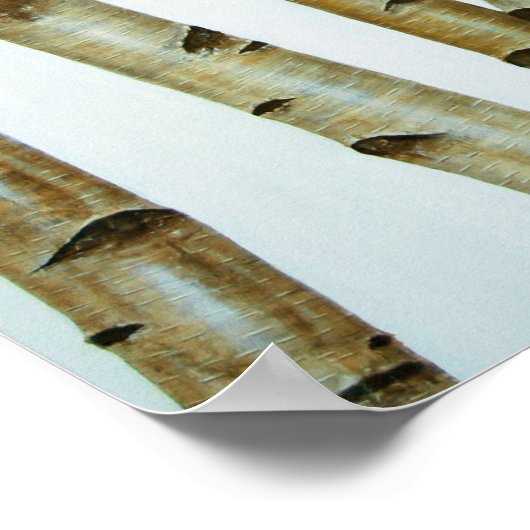 Poster Abedules Blancos (Coin)