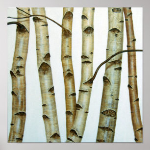 Poster Abedules Blancos