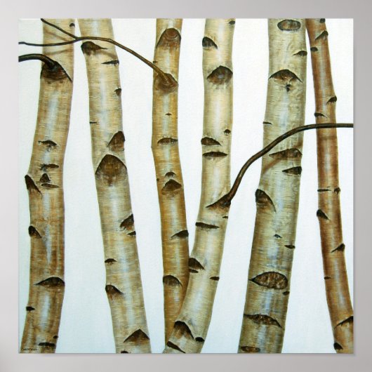 Poster Abedules Blancos (Devant)